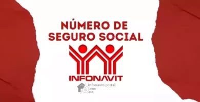 seguro social infonavit